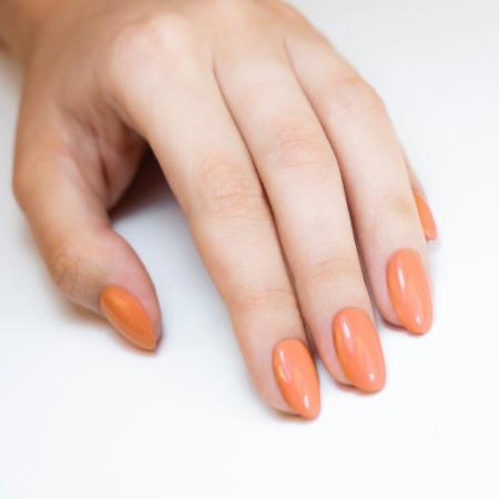 Image of IMG_0363.JPG