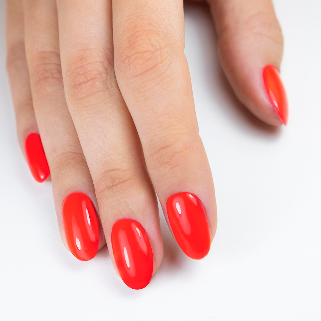 Image of 29447_29447_3.png