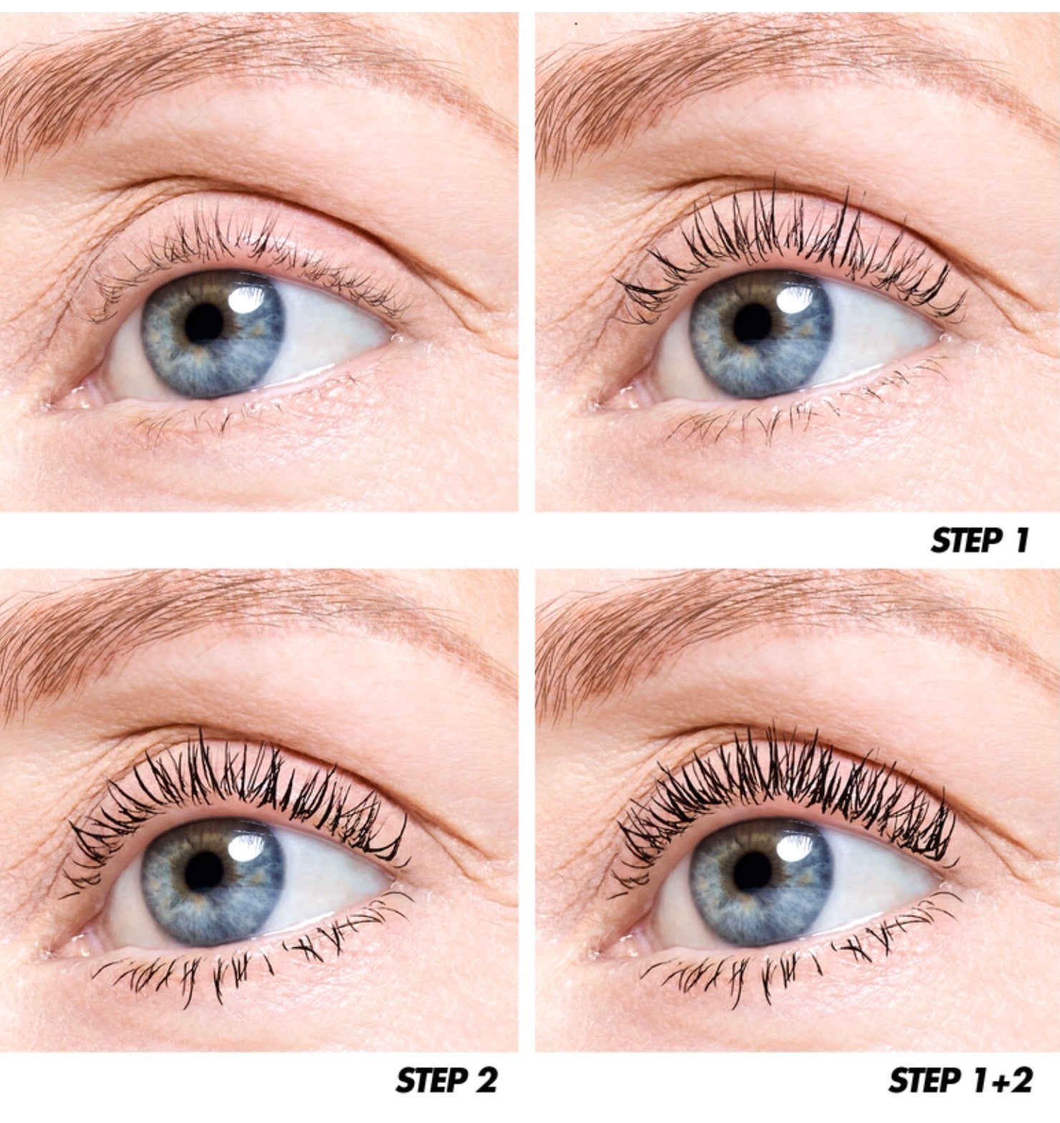 Image of IMG_1860.JPG